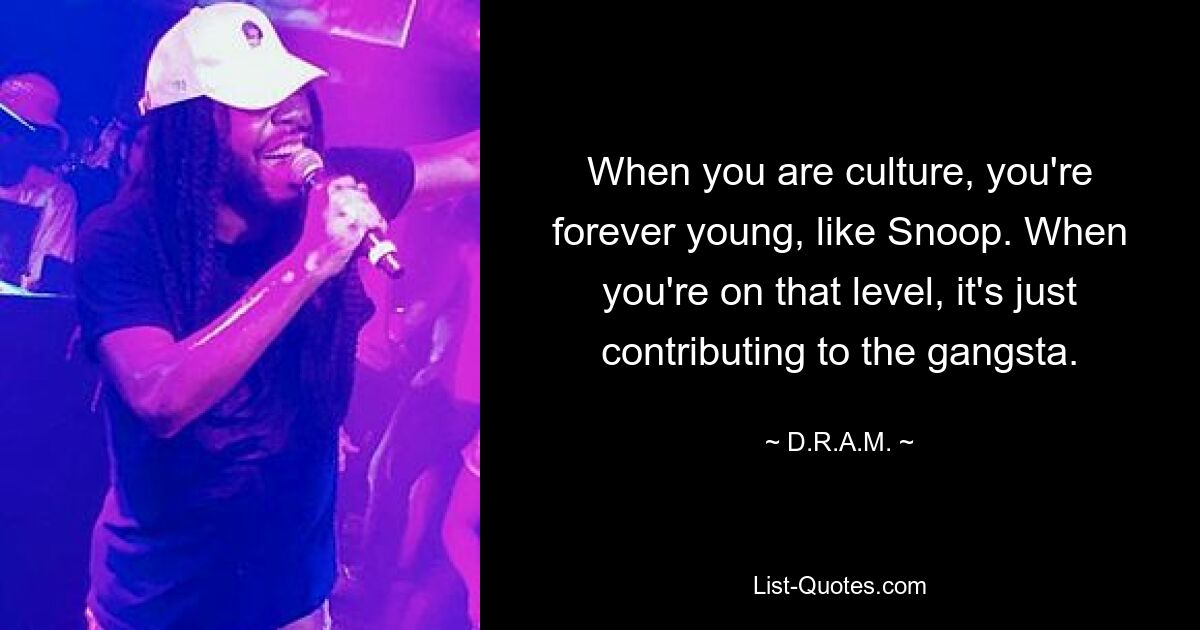 When you are culture, you're forever young, like Snoop. When you're on that level, it's just contributing to the gangsta. — © D.R.A.M.