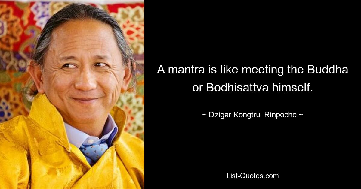 A mantra is like meeting the Buddha or Bodhisattva himself. — © Dzigar Kongtrul Rinpoche