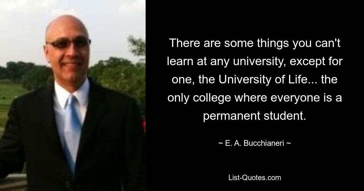 There are some things you can't learn at any university, except for one, the University of Life... the only college where everyone is a permanent student. — © E. A. Bucchianeri