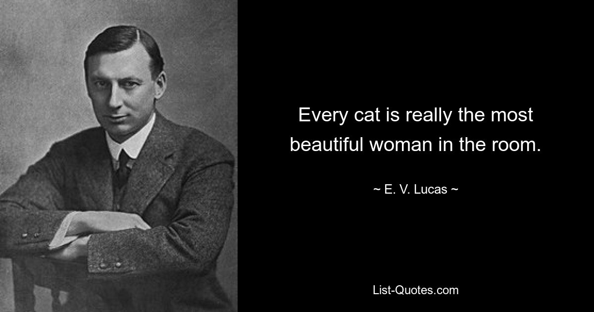 Every cat is really the most beautiful woman in the room. — © E. V. Lucas