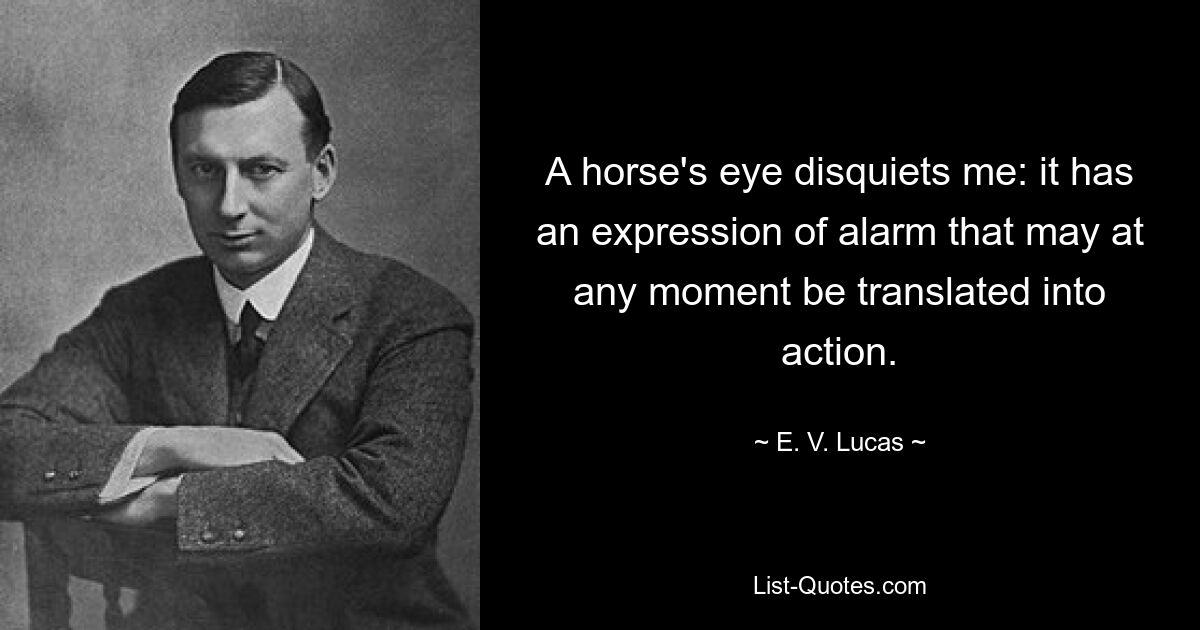 A horse's eye disquiets me: it has an expression of alarm that may at any moment be translated into action. — © E. V. Lucas