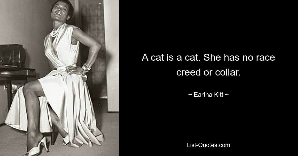 A cat is a cat. She has no race creed or collar. — © Eartha Kitt