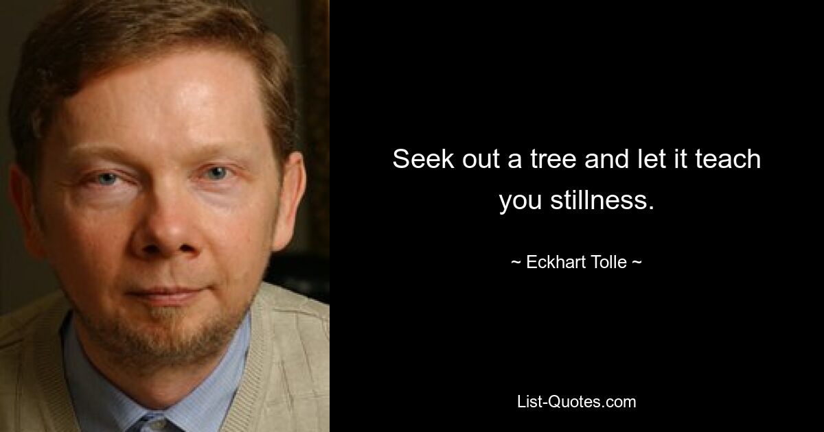 Seek out a tree and let it teach you stillness. — © Eckhart Tolle