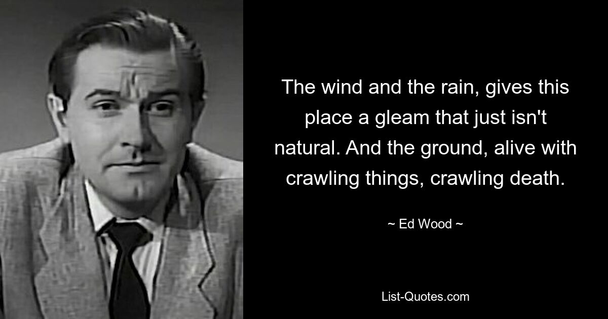 Der Wind und der Regen verleihen diesem Ort einen Glanz, der einfach nicht natürlich ist. Und der Boden voller kriechender Dinge, kriechender Tod. — © Ed Wood