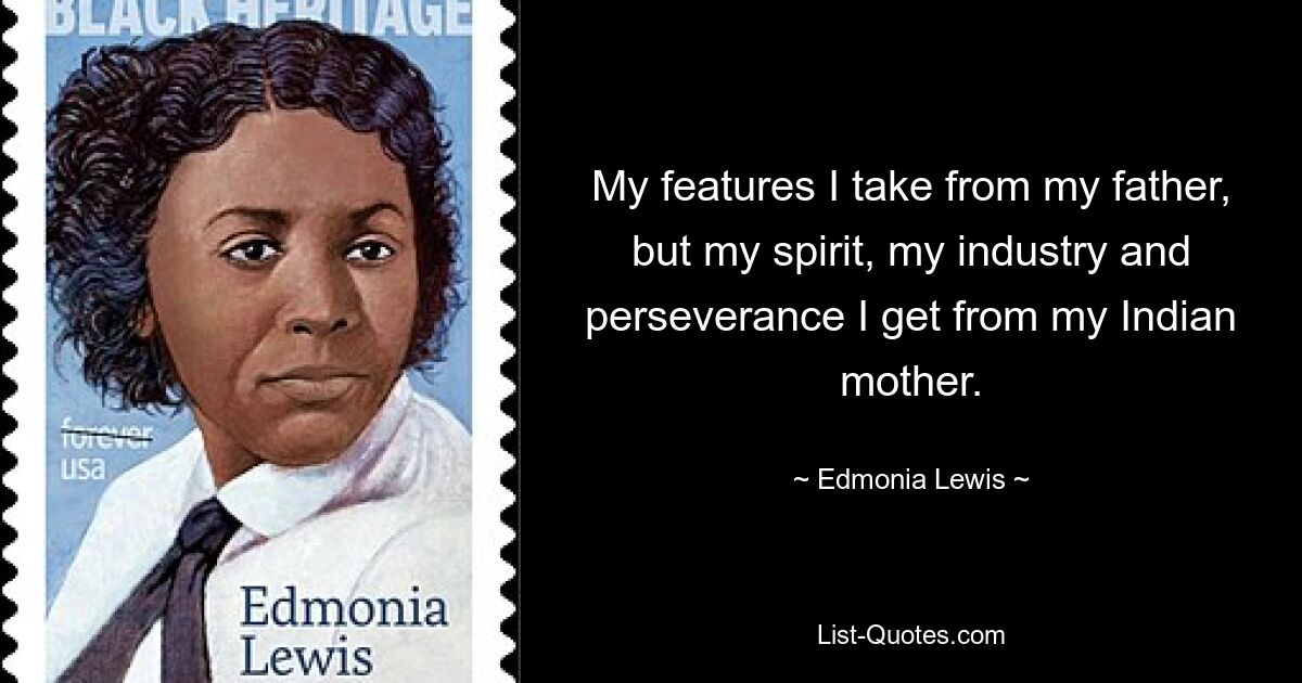 My features I take from my father, but my spirit, my industry and perseverance I get from my Indian mother. — © Edmonia Lewis