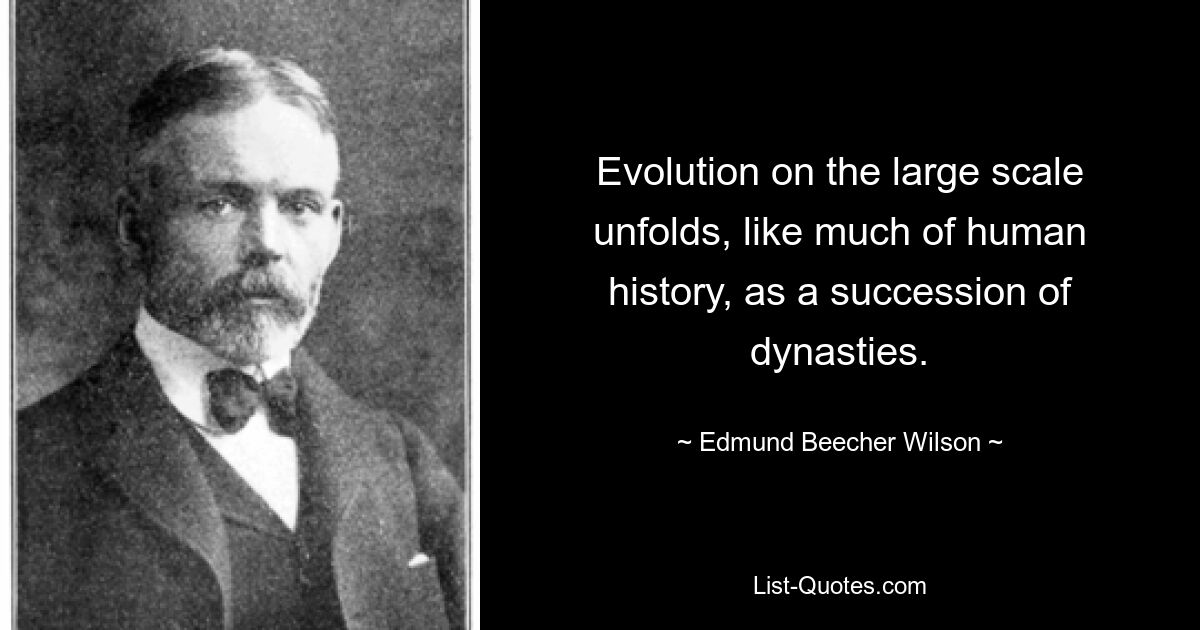 Evolution on the large scale unfolds, like much of human history, as a succession of dynasties. — © Edmund Beecher Wilson