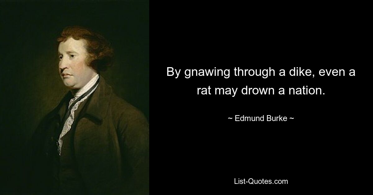 By gnawing through a dike, even a rat may drown a nation. — © Edmund Burke