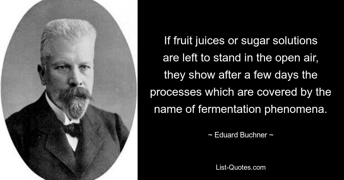 Lässt man Fruchtsäfte oder Zuckerlösungen an der frischen Luft stehen, zeigen sich nach einigen Tagen die Vorgänge, die unter dem Namen Gärungserscheinungen zusammengefasst werden. — © Eduard Buchner 