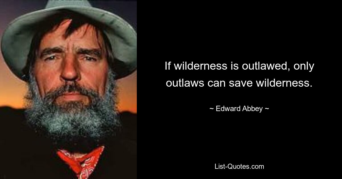 If wilderness is outlawed, only outlaws can save wilderness. — © Edward Abbey