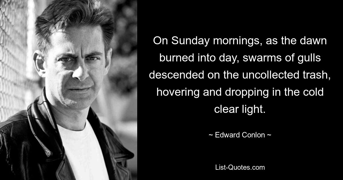 On Sunday mornings, as the dawn burned into day, swarms of gulls descended on the uncollected trash, hovering and dropping in the cold clear light. — © Edward Conlon