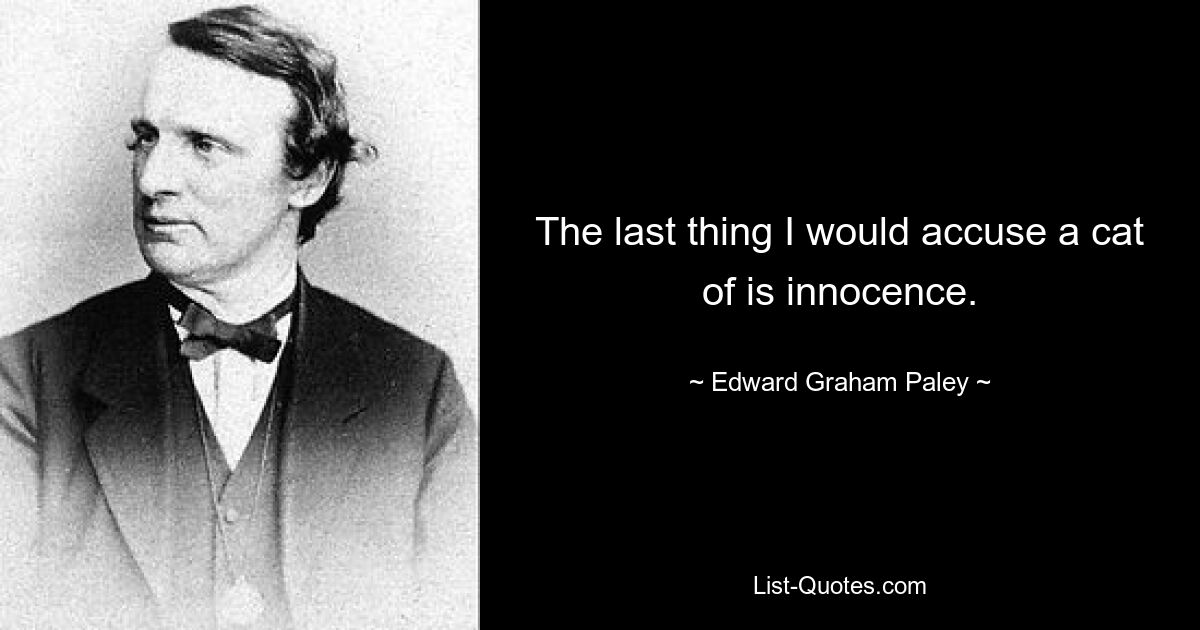 The last thing I would accuse a cat of is innocence. — © Edward Graham Paley