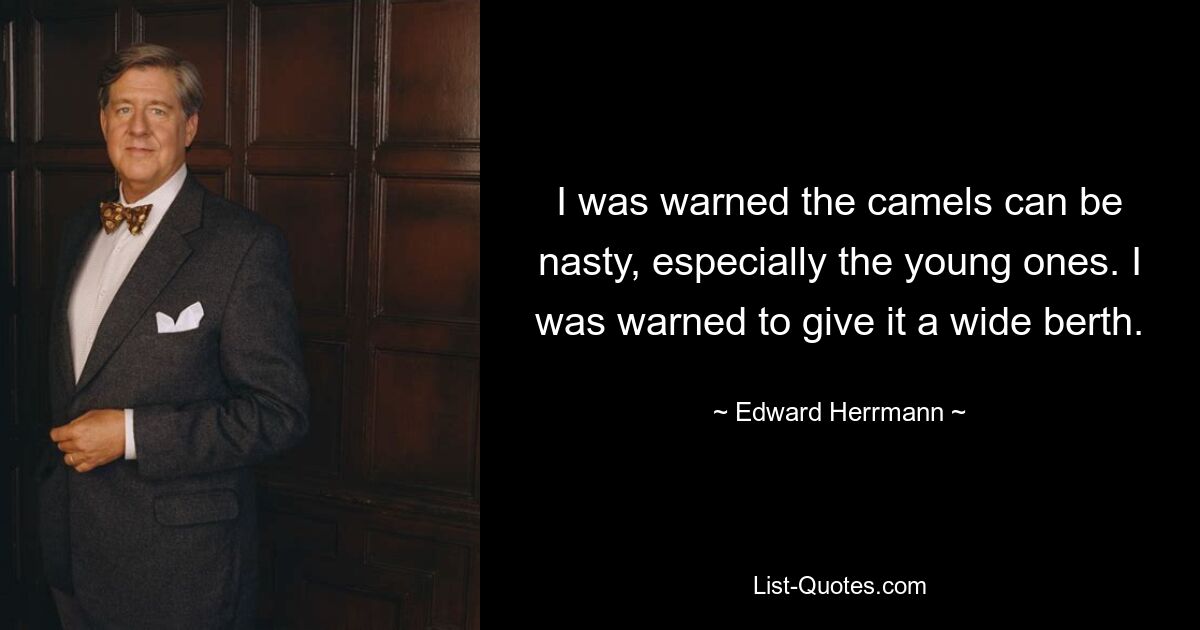 I was warned the camels can be nasty, especially the young ones. I was warned to give it a wide berth. — © Edward Herrmann