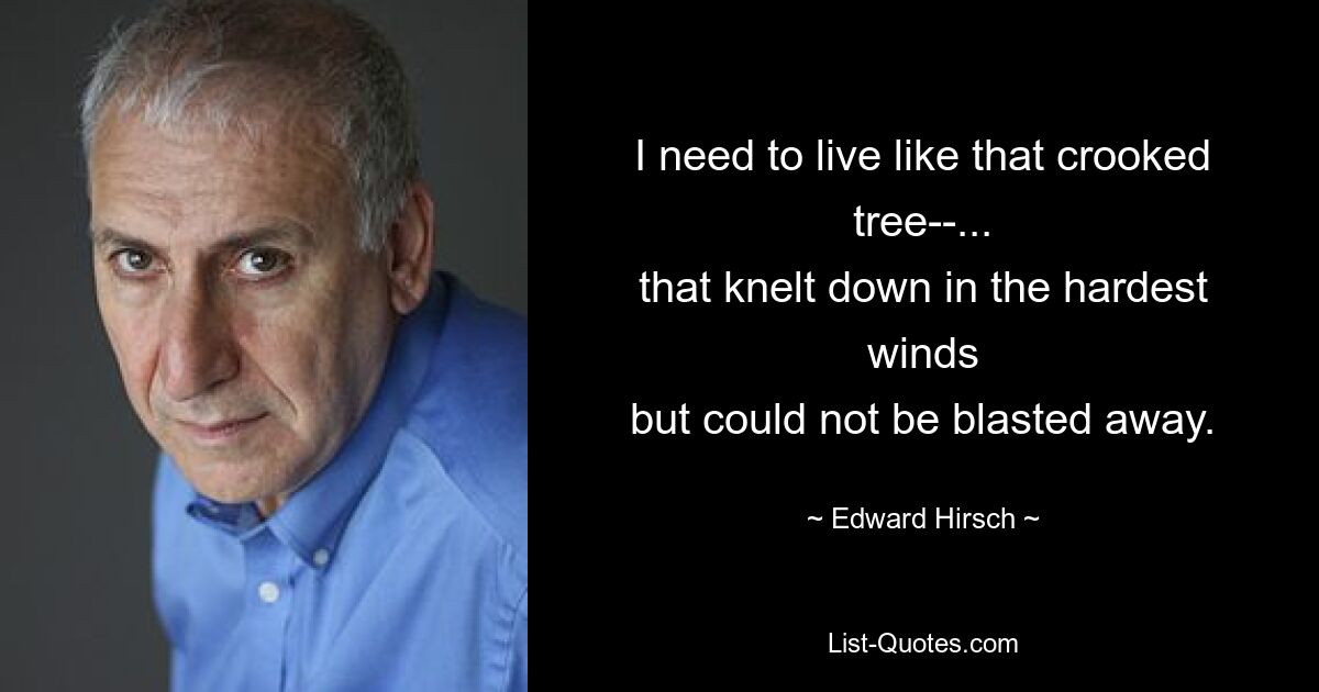 I need to live like that crooked tree--...
that knelt down in the hardest winds
but could not be blasted away. — © Edward Hirsch