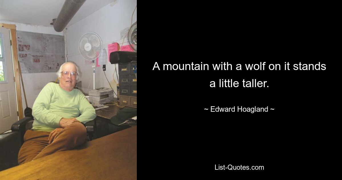 A mountain with a wolf on it stands a little taller. — © Edward Hoagland