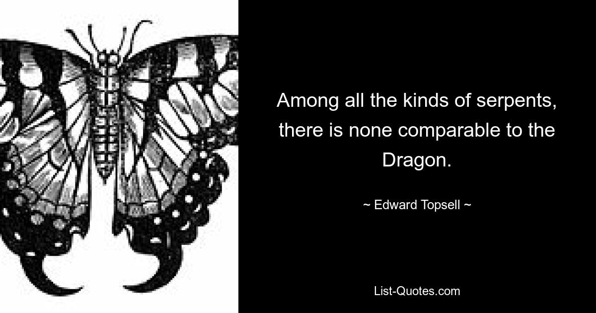 Among all the kinds of serpents, there is none comparable to the Dragon. — © Edward Topsell