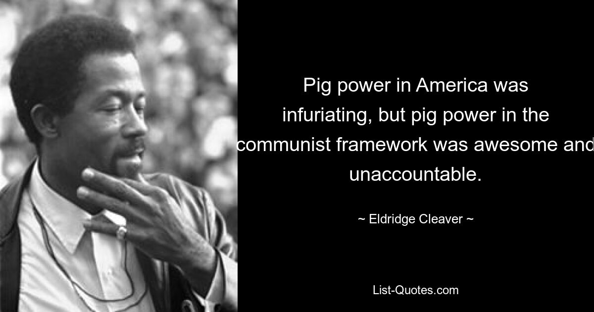 Pig power in America was infuriating, but pig power in the communist framework was awesome and unaccountable. — © Eldridge Cleaver