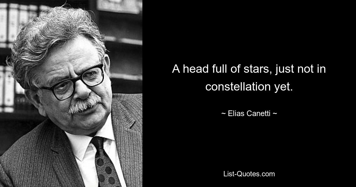 A head full of stars, just not in constellation yet. — © Elias Canetti