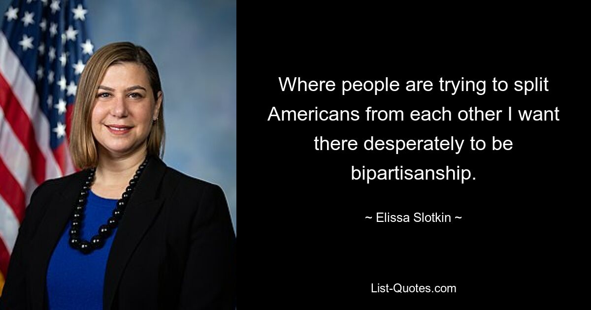 Where people are trying to split Americans from each other I want there desperately to be bipartisanship. — © Elissa Slotkin