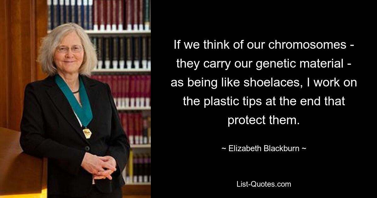 If we think of our chromosomes - they carry our genetic material - as being like shoelaces, I work on the plastic tips at the end that protect them. — © Elizabeth Blackburn