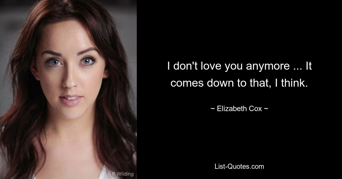 I don't love you anymore ... It comes down to that, I think. — © Elizabeth Cox