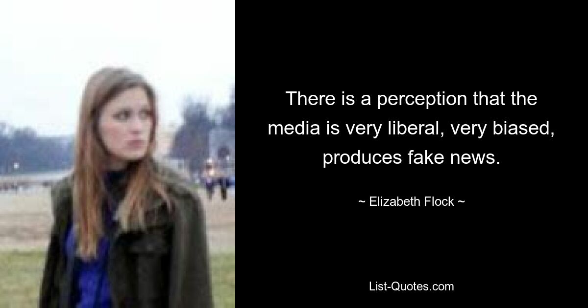 There is a perception that the media is very liberal, very biased, produces fake news. — © Elizabeth Flock