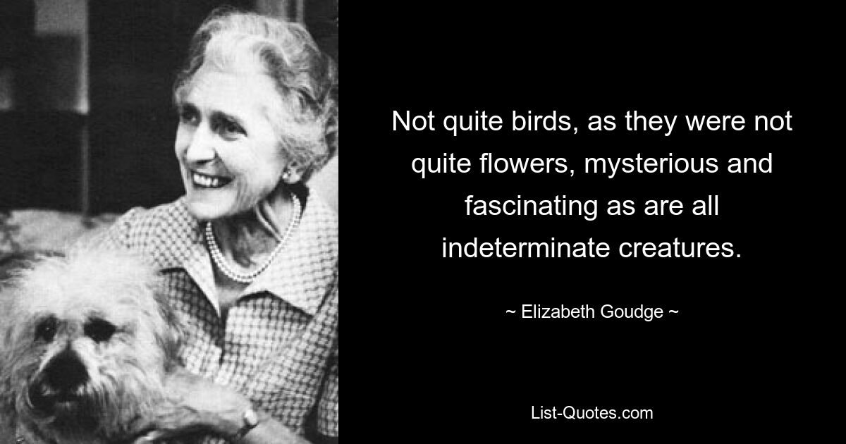 Not quite birds, as they were not quite flowers, mysterious and fascinating as are all indeterminate creatures. — © Elizabeth Goudge