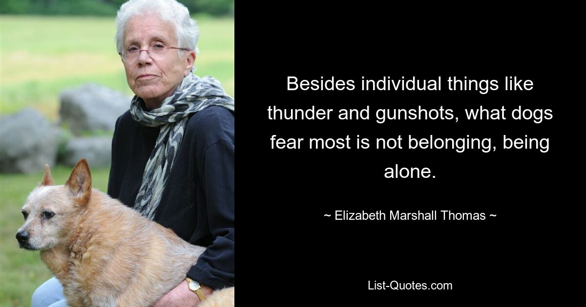 Besides individual things like thunder and gunshots, what dogs fear most is not belonging, being alone. — © Elizabeth Marshall Thomas