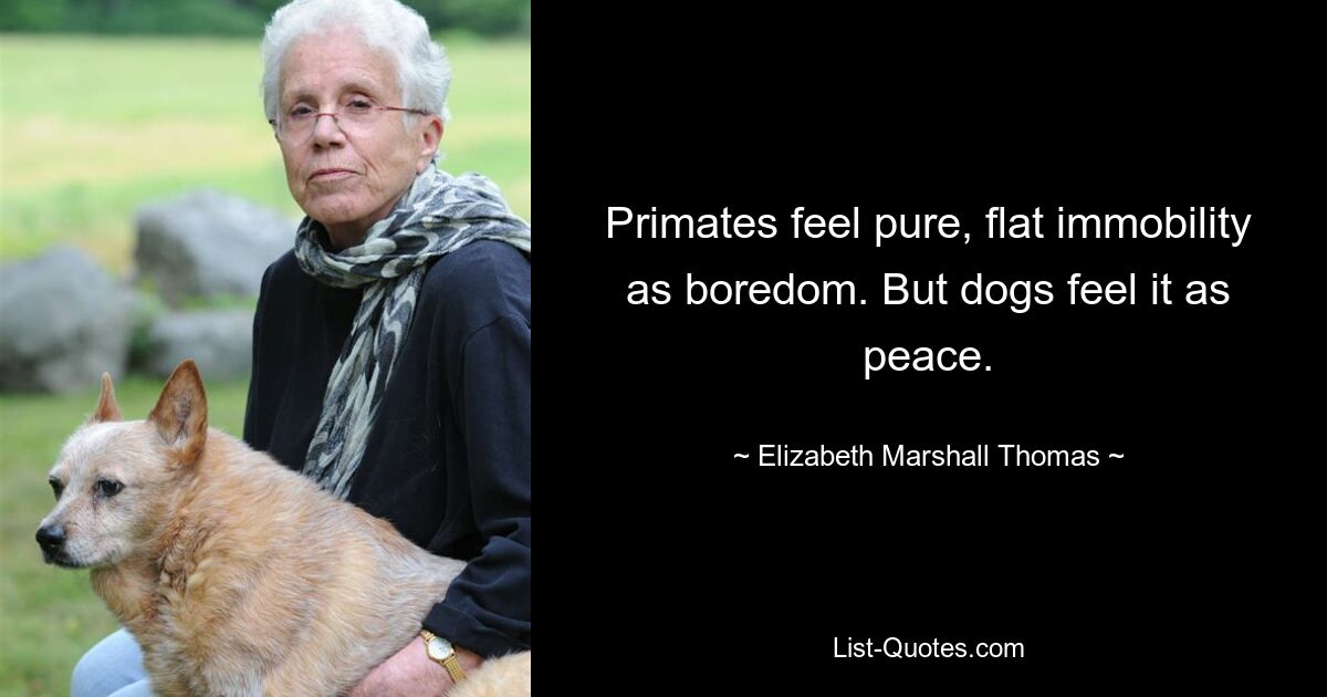 Primates feel pure, flat immobility as boredom. But dogs feel it as peace. — © Elizabeth Marshall Thomas