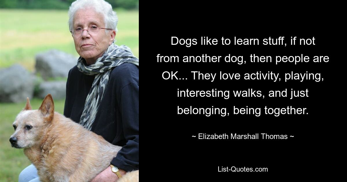 Dogs like to learn stuff, if not from another dog, then people are OK... They love activity, playing, interesting walks, and just belonging, being together. — © Elizabeth Marshall Thomas