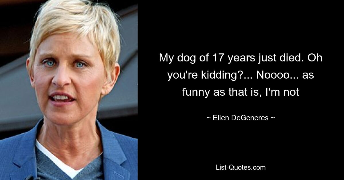 My dog of 17 years just died. Oh you're kidding?... Noooo... as funny as that is, I'm not — © Ellen DeGeneres