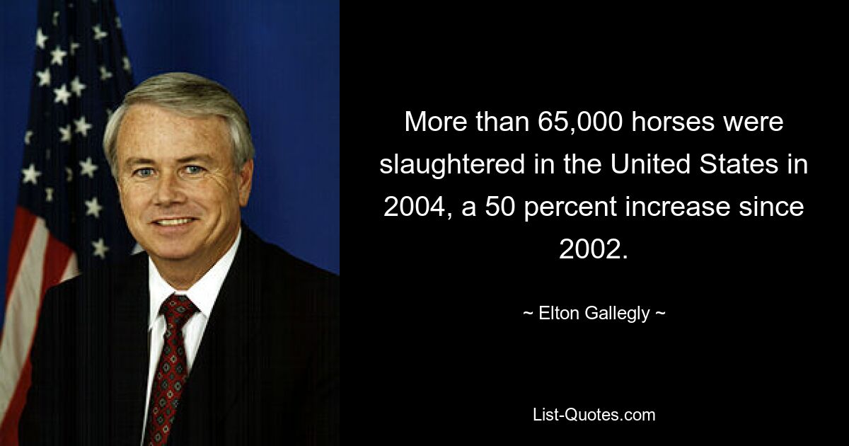 More than 65,000 horses were slaughtered in the United States in 2004, a 50 percent increase since 2002. — © Elton Gallegly