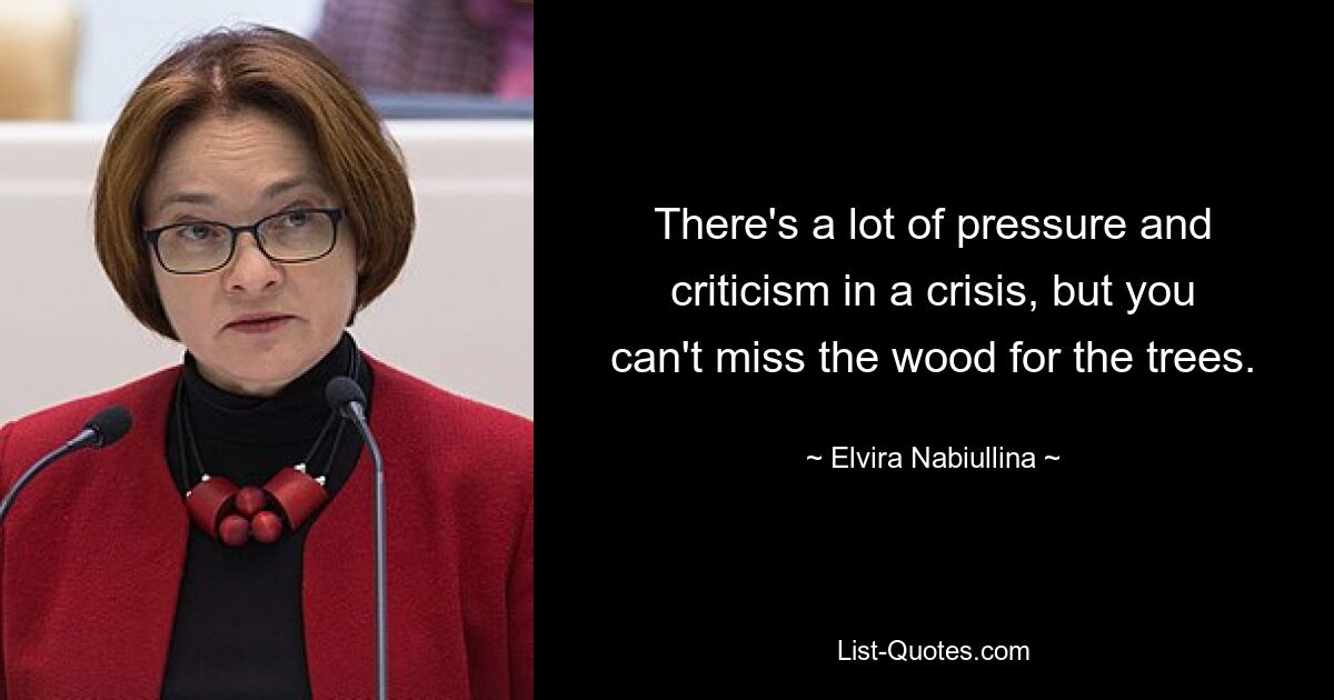 There's a lot of pressure and criticism in a crisis, but you can't miss the wood for the trees. — © Elvira Nabiullina