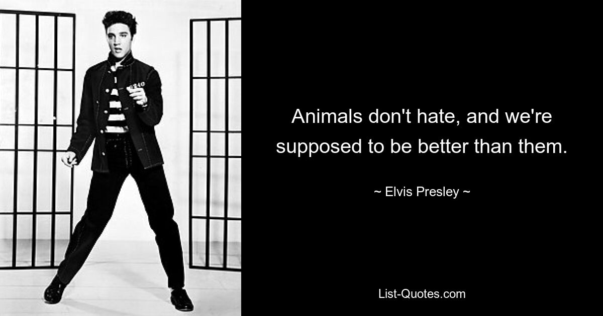 Animals don't hate, and we're supposed to be better than them. — © Elvis Presley