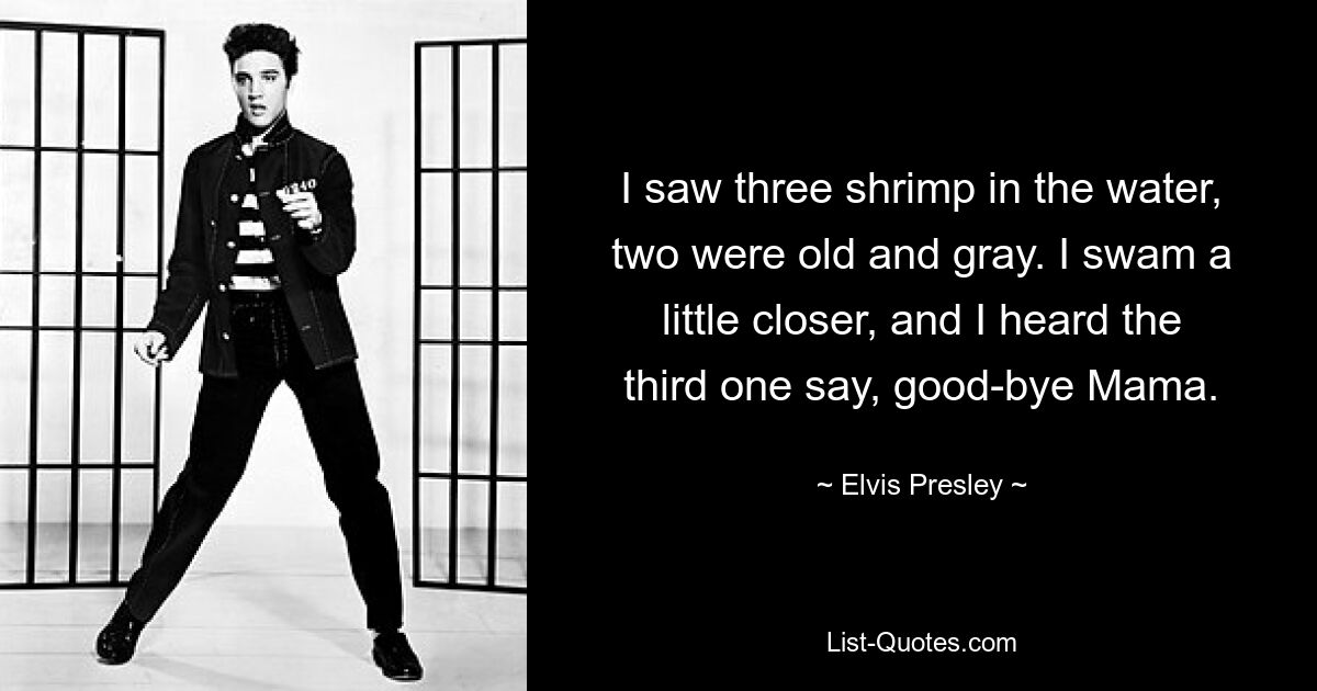 Ich sah drei Garnelen im Wasser, zwei waren alt und grau. Ich schwamm etwas näher und hörte, wie der Dritte „Lebe wohl, Mama“ sagte. — © Elvis Presley 