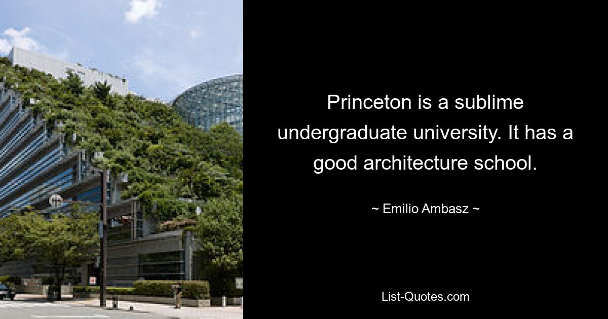 Princeton is a sublime undergraduate university. It has a good architecture school. — © Emilio Ambasz