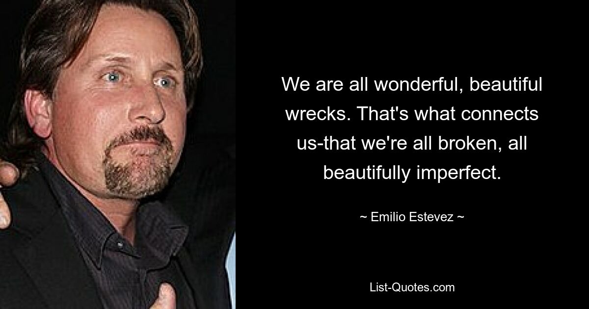 We are all wonderful, beautiful wrecks. That's what connects us-that we're all broken, all beautifully imperfect. — © Emilio Estevez