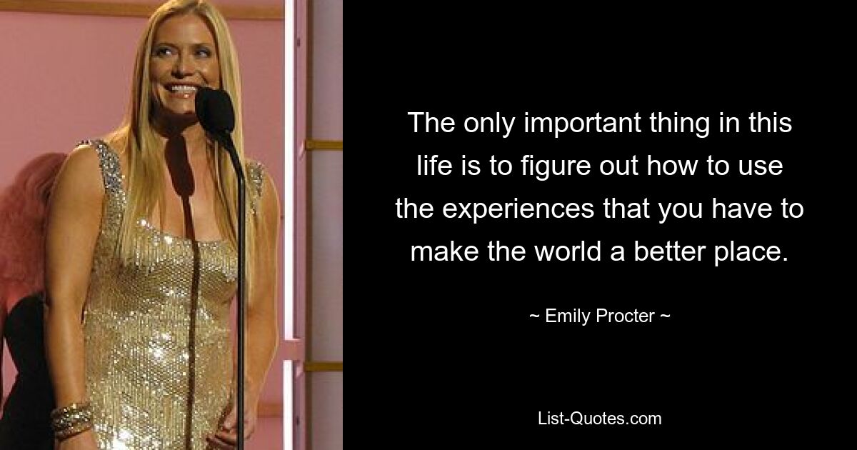 The only important thing in this life is to figure out how to use the experiences that you have to make the world a better place. — © Emily Procter