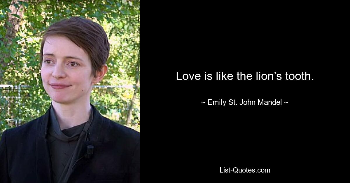 Love is like the lion’s tooth. — © Emily St. John Mandel