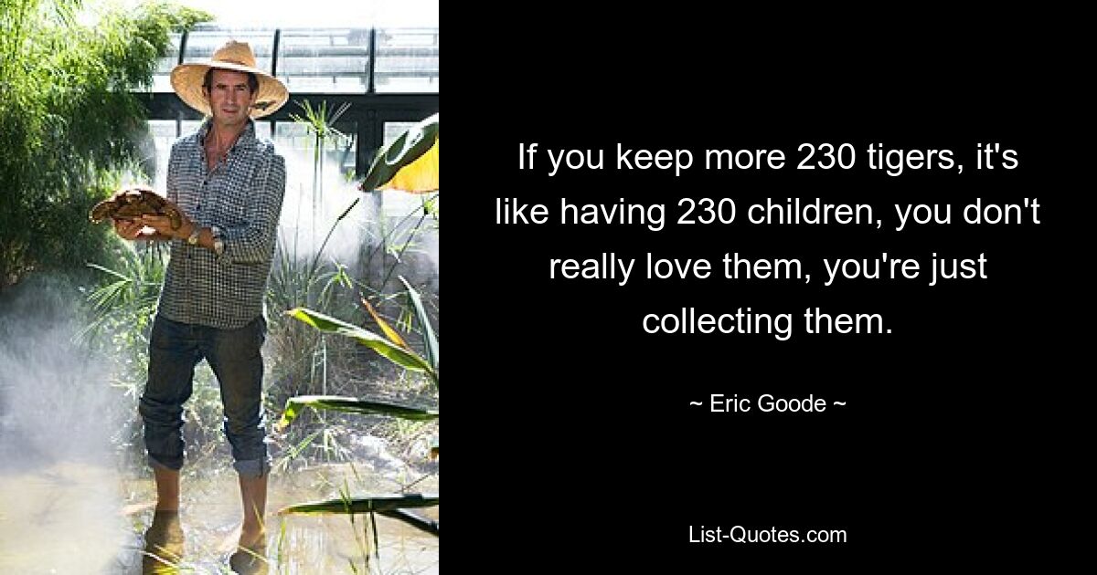 If you keep more 230 tigers, it's like having 230 children, you don't really love them, you're just collecting them. — © Eric Goode