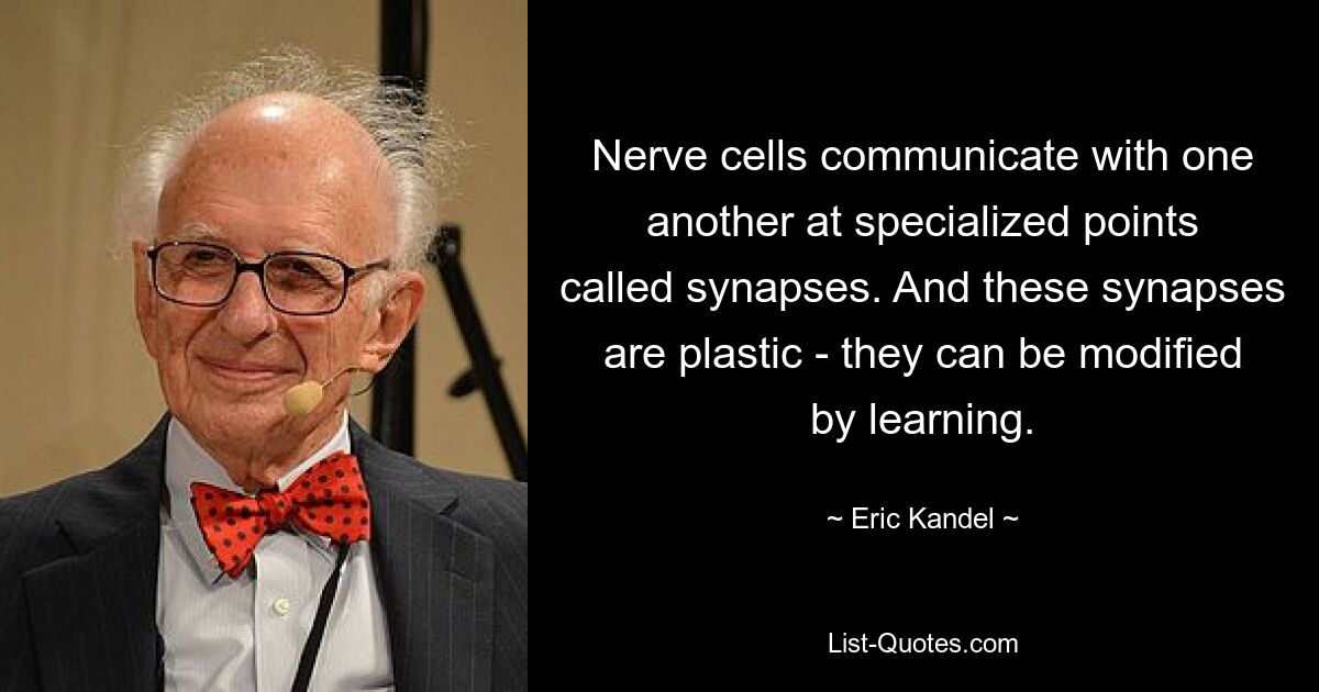 Nerve cells communicate with one another at specialized points called synapses. And these synapses are plastic - they can be modified by learning. — © Eric Kandel