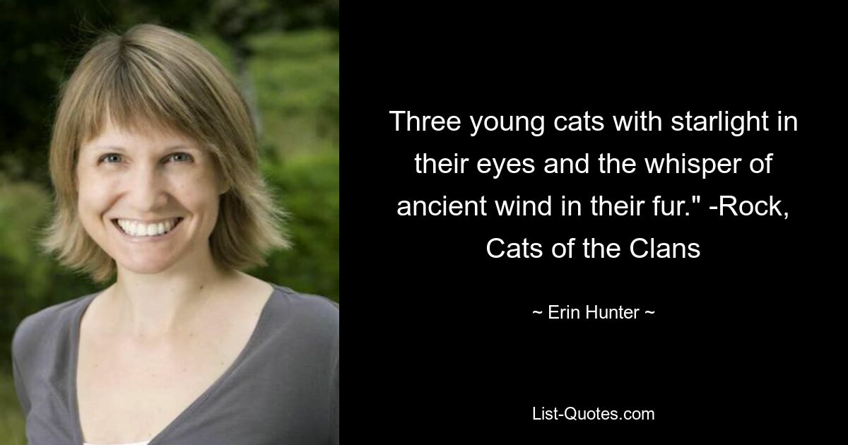 Drei junge Katzen mit Sternenlicht in ihren Augen und dem Flüstern des uralten Windes in ihrem Fell.“ -Rock, Cats of the Clans – © Erin Hunter