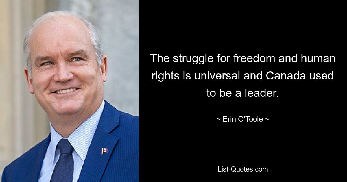 The struggle for freedom and human rights is universal and Canada used to be a leader. — © Erin O'Toole