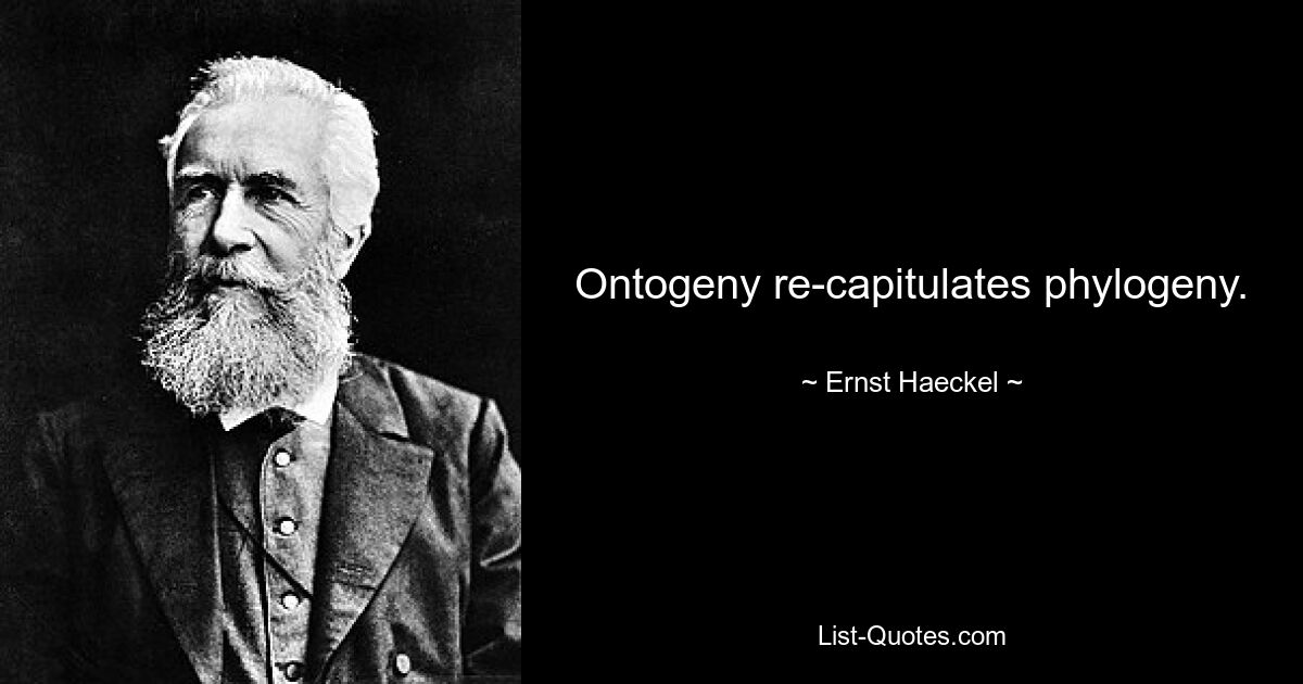 Ontogeny re-capitulates phylogeny. — © Ernst Haeckel