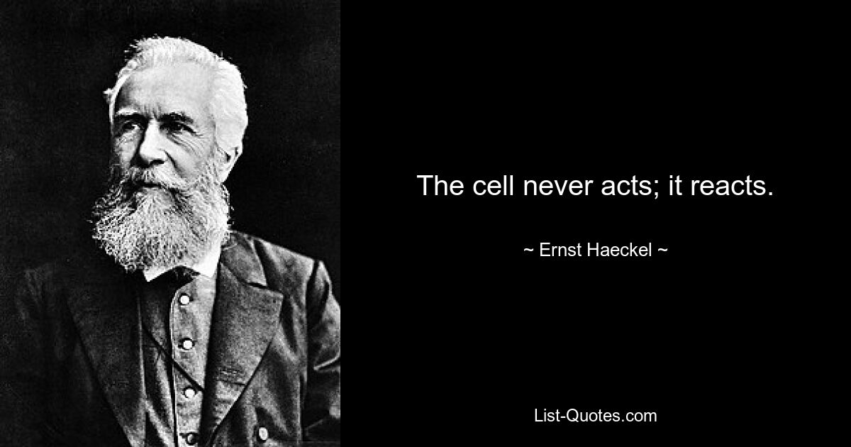 The cell never acts; it reacts. — © Ernst Haeckel