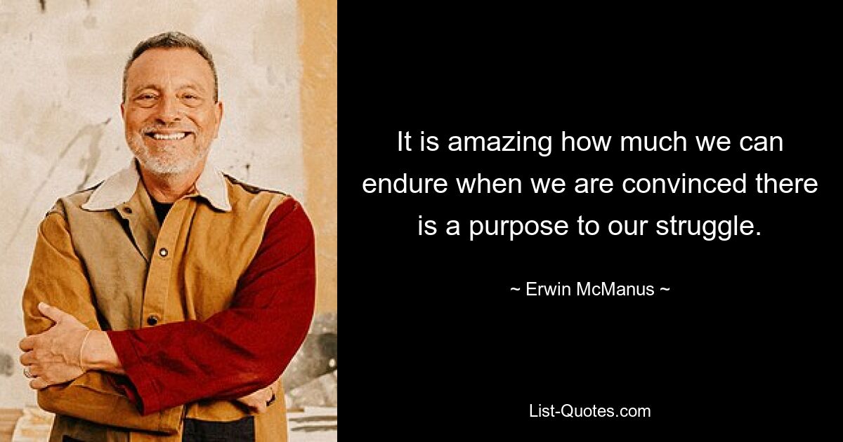 It is amazing how much we can endure when we are convinced there is a purpose to our struggle. — © Erwin McManus