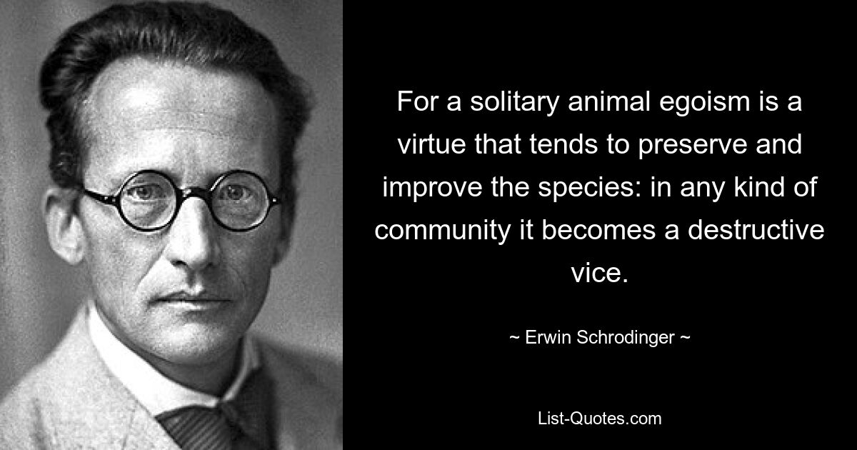 For a solitary animal egoism is a virtue that tends to preserve and improve the species: in any kind of community it becomes a destructive vice. — © Erwin Schrodinger