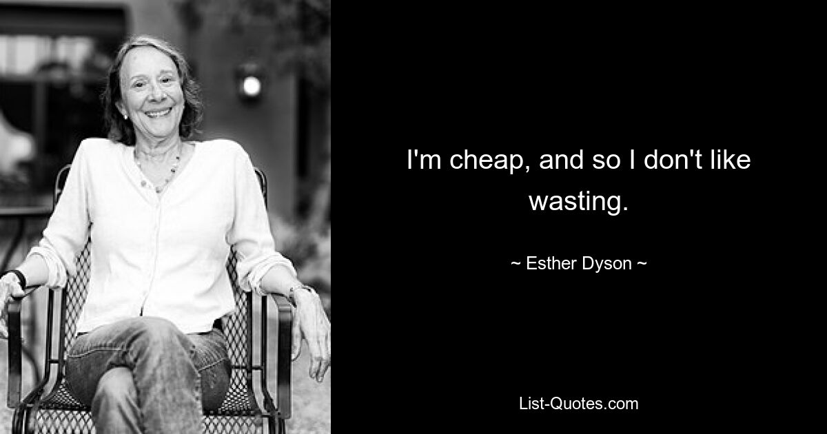 I'm cheap, and so I don't like wasting. — © Esther Dyson