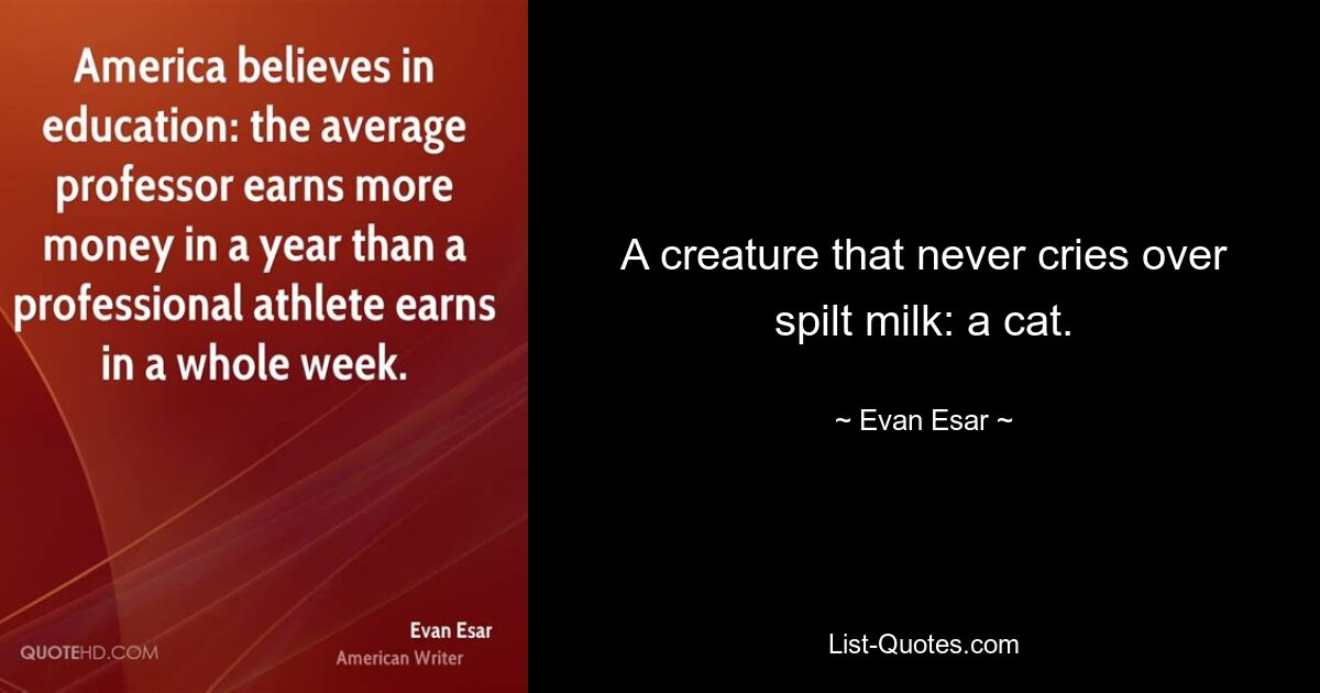 A creature that never cries over spilt milk: a cat. — © Evan Esar