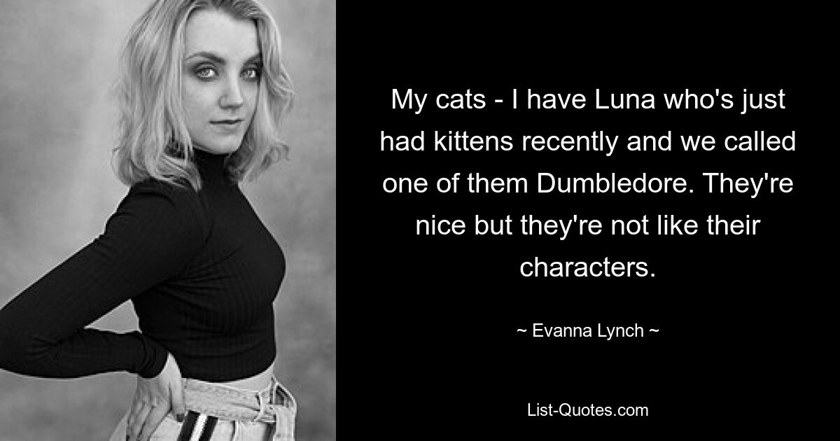 My cats - I have Luna who's just had kittens recently and we called one of them Dumbledore. They're nice but they're not like their characters. — © Evanna Lynch