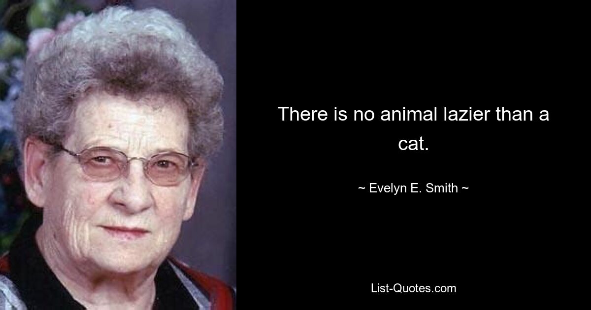 There is no animal lazier than a cat. — © Evelyn E. Smith